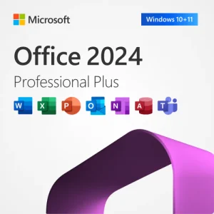 OFFICE 2024 PROFESSIONAL PLUS